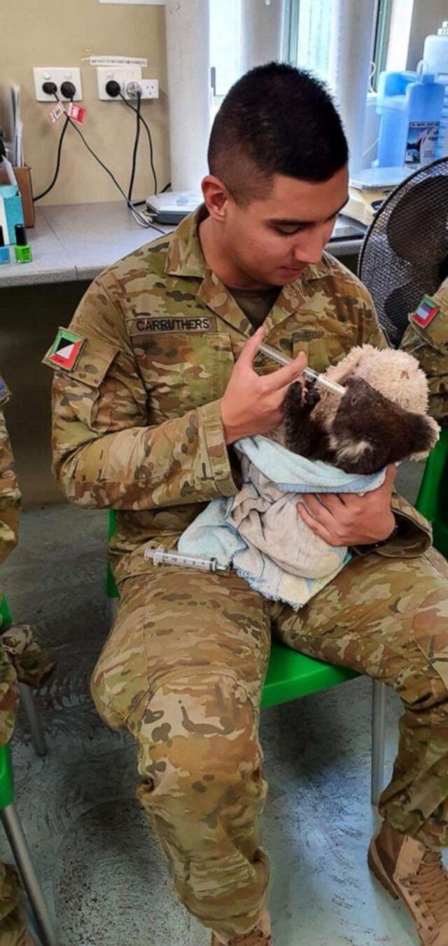 Askerler yangın mağduru koalaları eliyle besledi - Resim : 1