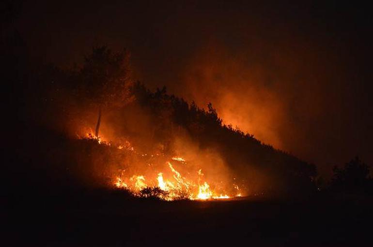 İzmir'de ormanlık alan saatlerdir yanıyor ! - Resim : 2