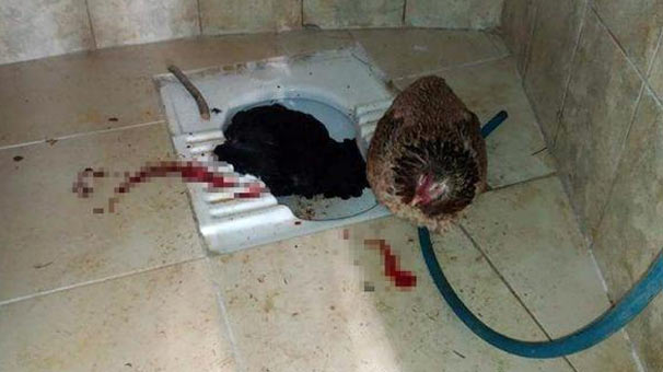 Mezarlık tuvaletinde şok ! Kanlar içinde... - Resim : 1