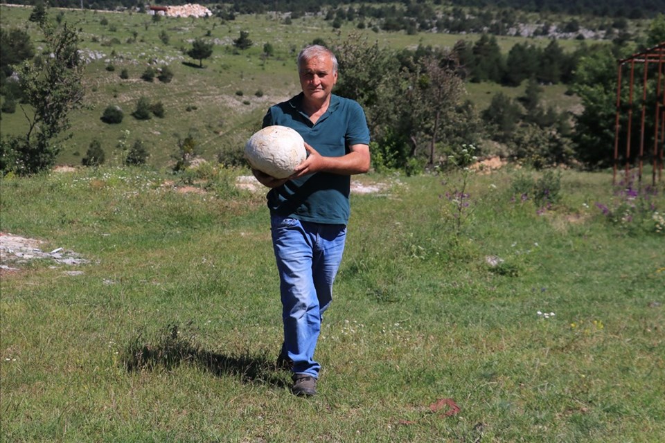 Futbol topu sandığı cisim mantar çıktı - Resim : 2