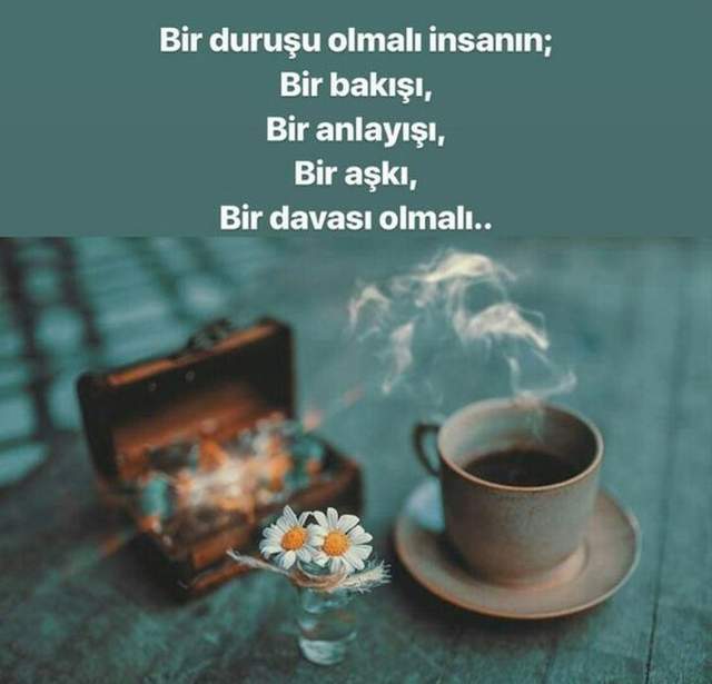 Karneyi al havaya uç - Resim : 1