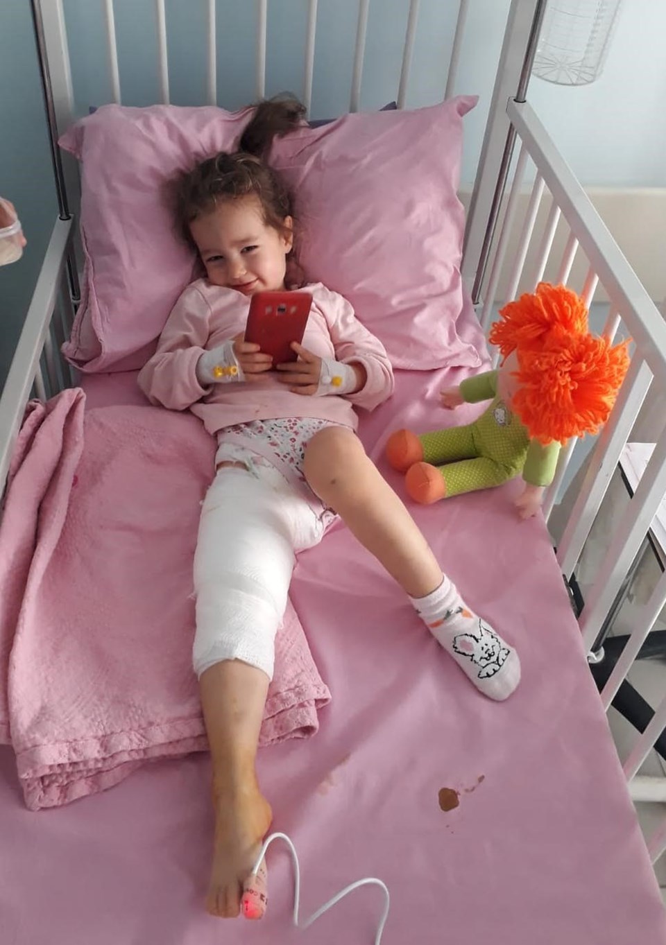 Ankara'da pitbull dehşeti! 2,5 yaşındaki kıza saldırdı - Resim : 1